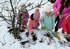 Krokusaktion Grundschule Denkingen